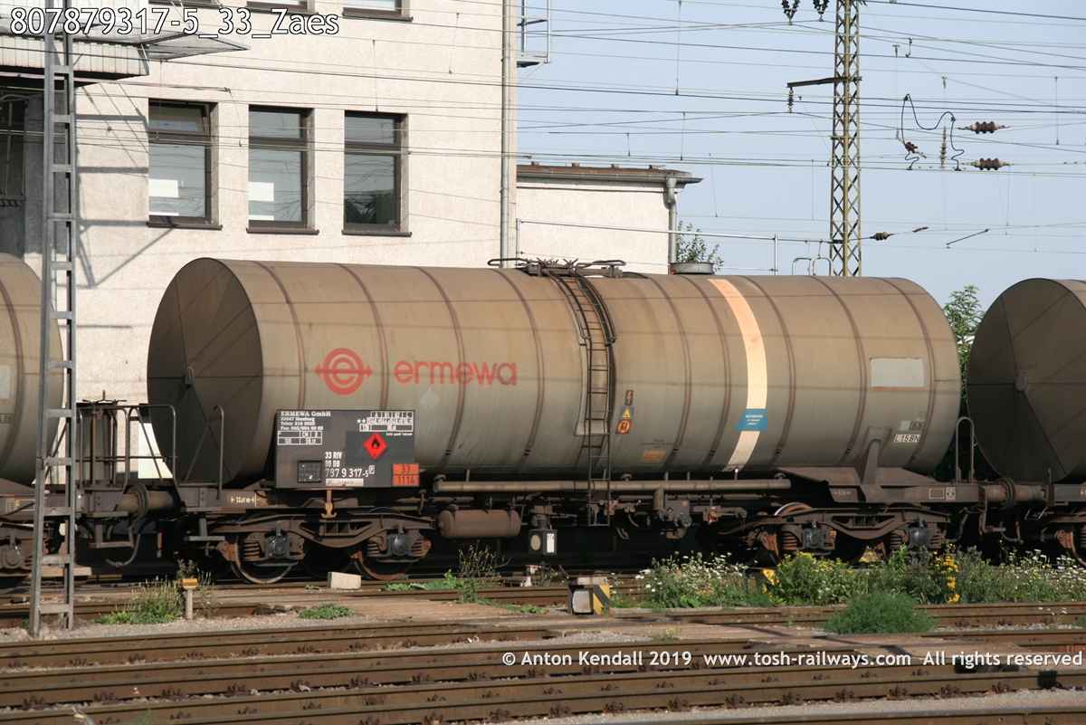 807879317-5_33_Zaes.jpg
